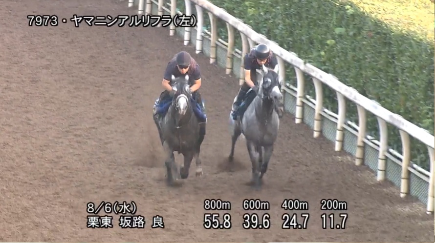 【CBC賞2025】追い切り/動きを見極め勝利に近づけ