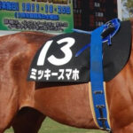 馬に対する愛が全く感じられない馬名