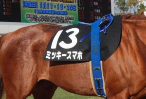 馬に対する愛が全く感じられない馬名