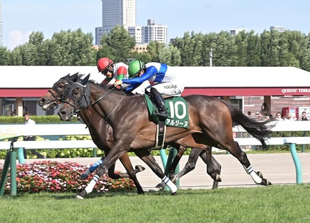 【クイーンS】1番人気アルジーヌがが差しきりV!重賞2勝目