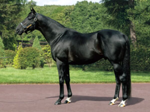 2000万種牡馬のキズナ、ジャスティンミラノ以降GI勝利なし….