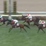 【競馬】札幌記念は横山典騎乗のトップナイフがV