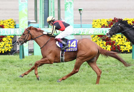 ジオグリフが引退 優駿スタリオンで種牡馬入り