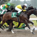 【レパードS】ドンインザムードが不良馬場制す!3連単は波乱決着