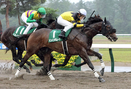 【レパードS】ドンインザムードが不良馬場制す!3連単は波乱決着