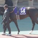 ナムラで3、4番目に思いつく馬はあれとあれだよな