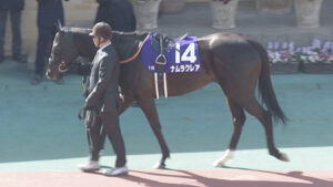 ナムラで3、4番目に思いつく馬はあれとあれだよな