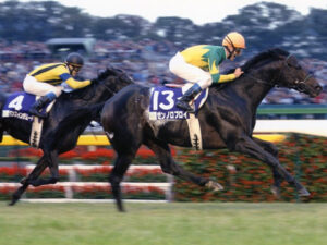 ゼンノロブロイのインターナショナルS２着ってなかなか凄いことだったんだな