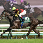 【ジャックルマロワ賞】アスコリピチェーノ弱すぎワロタw w w w w