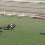【競馬】新潟2歳Sは津村騎乗のリアライズシリウスが出遅れるも圧勝