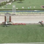 単勝1.4倍キングスコール圧勝で1勝クラス勝ち上がる