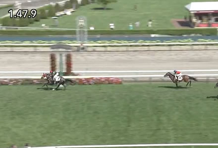 単勝1.4倍キングスコール圧勝で1勝クラス勝ち上がる