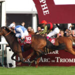 じゃあオルフェって秋天やドバイシーマやキングジョージ出ても勝ってたの?