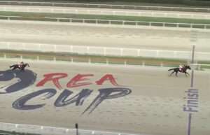 コリアカップ、コリアスプリントに日本馬が大量登録！2連覇中クラウンプライド、リメイクなど