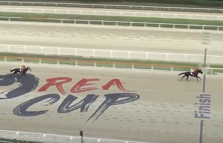 コリアカップ、コリアスプリントに日本馬が大量登録!2連覇中クラウンプライド、リメイクなど