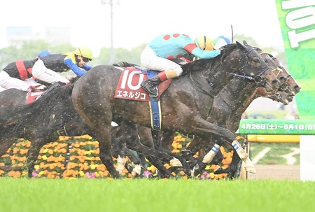 青葉賞馬エネルジコ新潟記念へ!ブレイディヴェーグ、クイーンズウォーク、シランケドらと対決