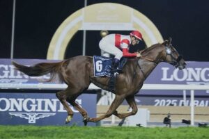 【競馬予想】第54回インターナショナルステークス(英G1)/ 2025 発走時間23時35分