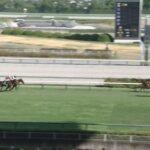【競馬】中京2歳Sは北村友騎乗のキャンディードがレコードでV 1番人気スターアニス2着