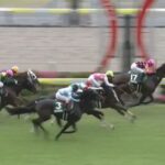 【競馬】CBC賞は佐々木騎乗のインビジブルパパがV 武豊騎乗のジューンブレア2着