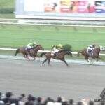 【クラスターカップ2025】結果・動画/サンライズアムールがクビ差逃げ切る