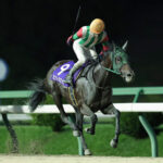 エポカドーロ種牡馬成功しつつある件