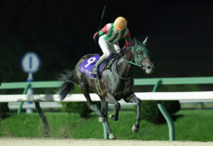 エポカドーロ種牡馬成功しつつある件