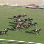 【新潟記念2025】結果・動画/シランケドが差し切りV