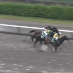 【レパードステークス2025】結果・動画/ドンインザムードが押し切る