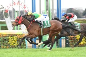 【競馬予想】[2]第61回新潟記念(GⅢ) /2025