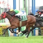 シランケドの馬主ニッシンホールディングスからジーティー冠号の田畑氏に変更