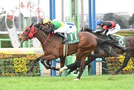 シランケドの馬主ニッシンホールディングスからジーティー冠号の田畑氏に変更