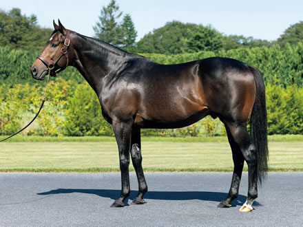サートゥルナーリアの種牡馬としての特性がチートな件について