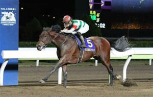 クリソベリル産駒、未だ1勝もできず種牡馬終了か