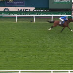 オンブズマンは128ポンドを獲得！フォーエバーヤング首位陥落