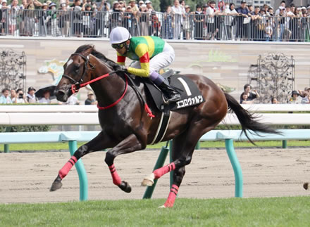 【競馬予想】[2]第73回中京記念(GⅢ) /2025