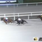 【北海道スプリントカップ2025】結果・動画/ヤマニンチェルキが押し切りV