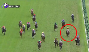 単勝1.7倍『グランマエストロ銀行』破綻www