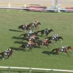 【競馬】新潟記念は坂井騎乗のシランケドがV エネルジコ2着