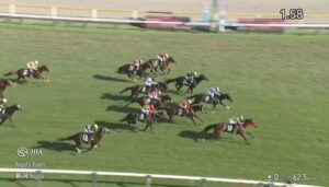 【競馬】新潟記念は坂井騎乗のシランケドがV　エネルジコ2着