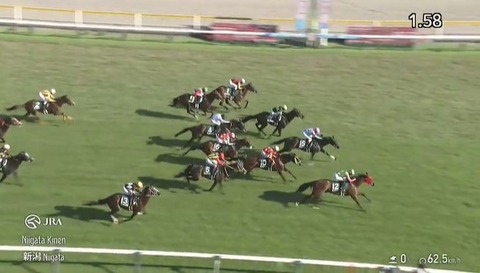 【競馬】新潟記念は坂井騎乗のシランケドがV エネルジコ2着