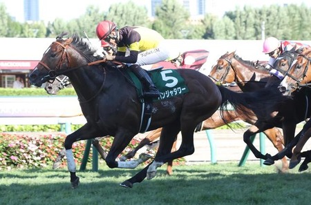 【キーンランドC】パンジャタワー強すぎワロタ