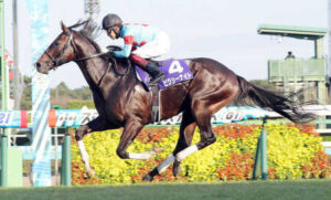 ピクシーナイト種付け数176頭！JRA史上初の父系5代GI制覇へ視界良好