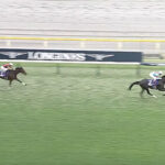 ジャパンカップでリバティアイランドを4馬身ちぎったイクイノックス