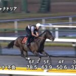 【レパードステークス2025】追い切り/動きからレースを紐解く