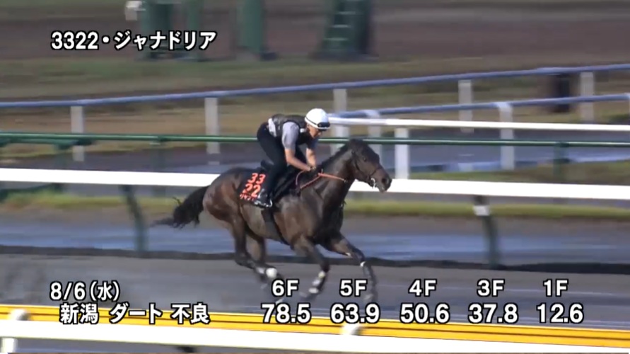 【レパードステークス2025】追い切り/動きからレースを紐解く