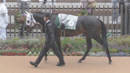 【競馬予想】第30回エルムステークス(GⅢ) /2025