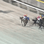 船橋競馬9Rゴール前で照明が一瞬消える