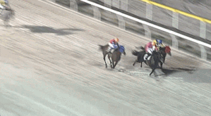 船橋競馬9Rゴール前で照明が一瞬消える