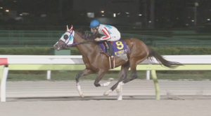 ナチュラルライズはダート３冠を獲れるのか？