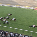 今村聖奈さん、新潟千直で最内を走って勝利www